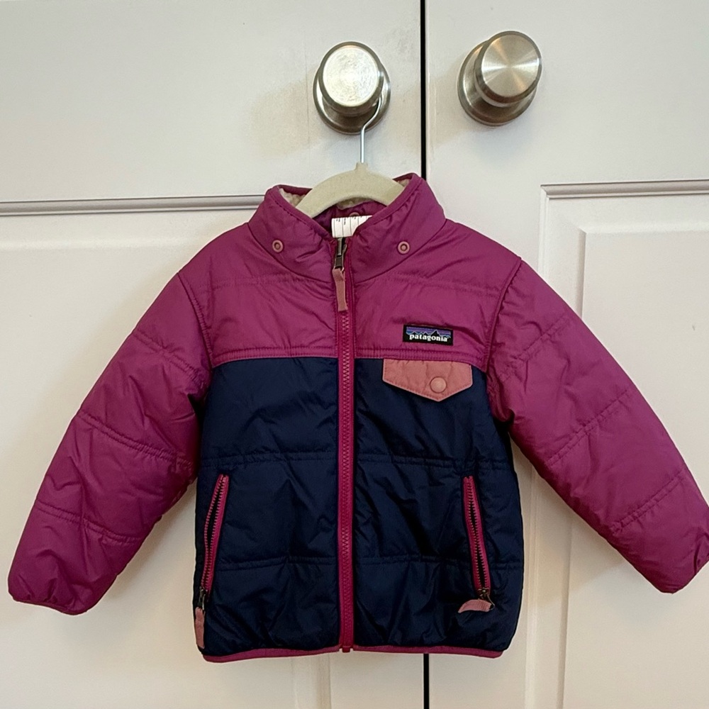Patagonia Pink and Blue Jacket